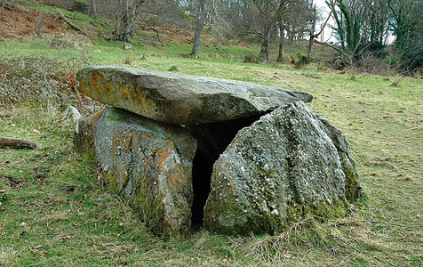 haylie tomb